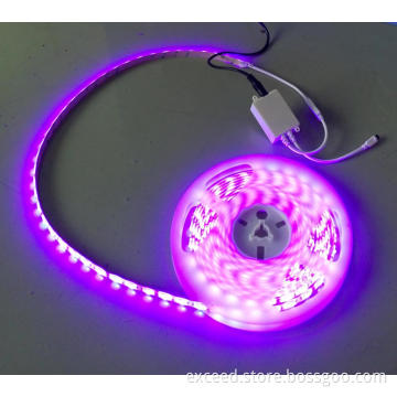 5050 RED Flexibla LED Strip Light